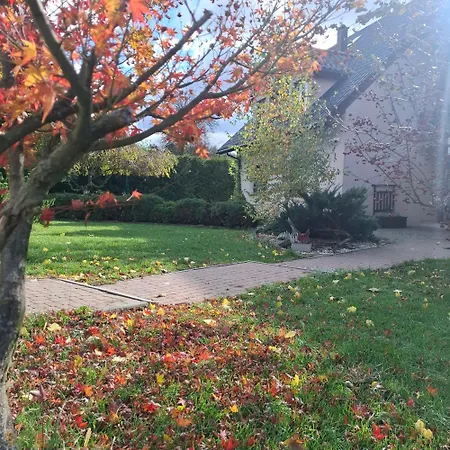 Tuterra I شقة