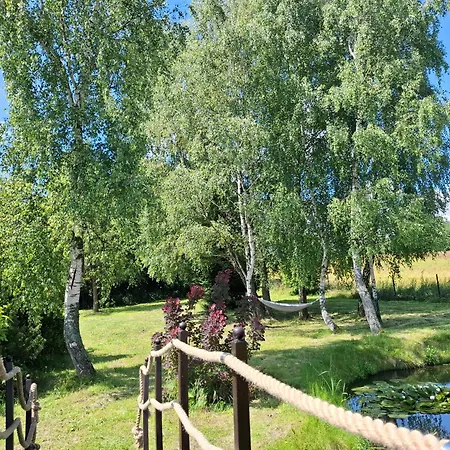 Tuterra I Daire *