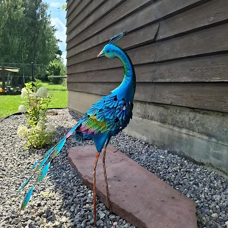 Daire Tuterra I Zabagnie (Olkusz)